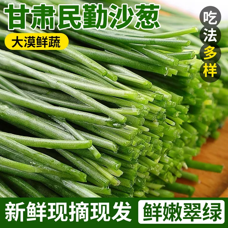 大漠鲜产沙葱现摘现发甘肃发货顺丰包邮鲜嫩翠绿辛香爽口百搭蔬菜
