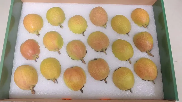 新疆库尔勒沙依东全母梨，精选红面大果礼盒装【顺丰包邮】