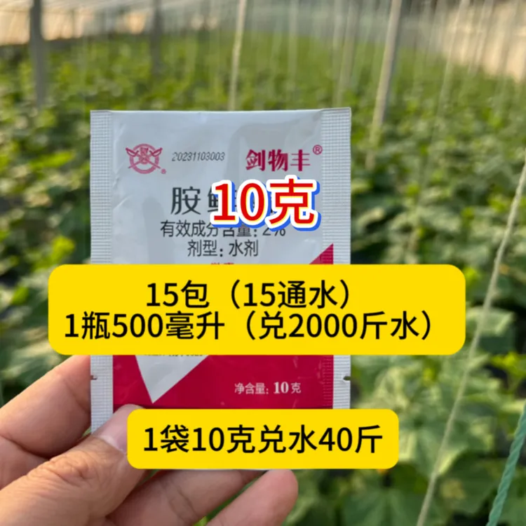 【美沣】冬天温度低安鲜脂生长果树蔬菜小麦促进生根增加肥料吸收肥
