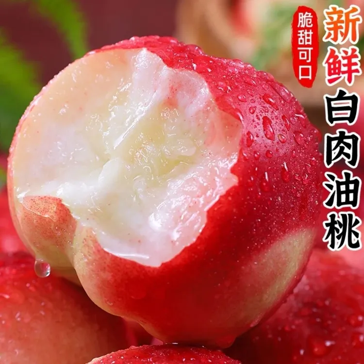 顺丰【保甜嘎嘎脆】山西白肉苹果油桃脆甜新鲜孕妇应季水果白心桃子