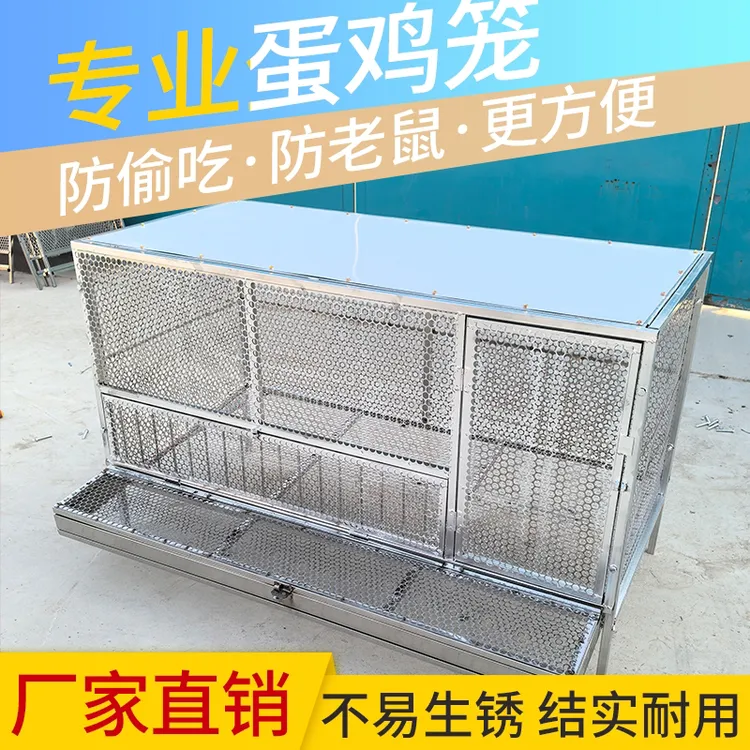鸡笼蛋鸡笼防啄蛋不锈钢网镀锌支架家用养鸡笼防黄鼠狼户外鸡笼
