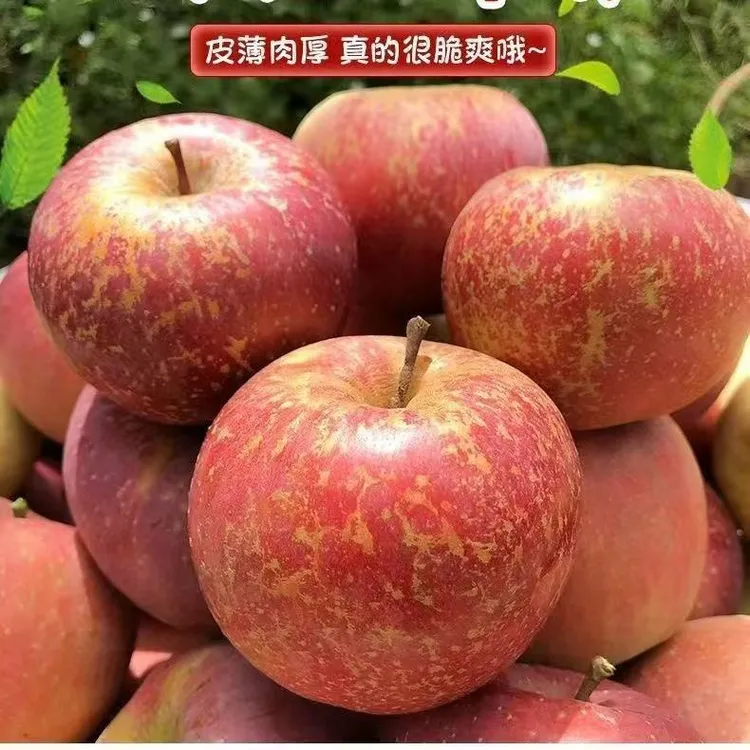 云南昭通冰糖心丑苹果红富士大凉山新鲜水果孕妇脆甜整箱批发包邮