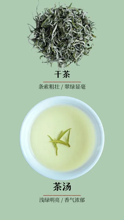 2025明前新茶/纯手工采摘一芽一叶（一级）黄金茶（10g）试喝装