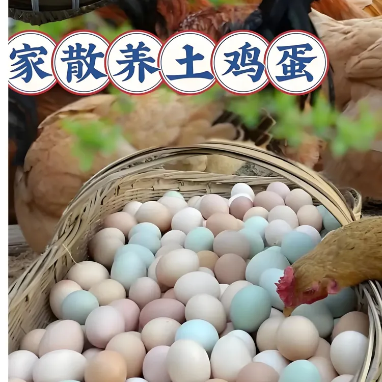 正宗农家散养新鲜土鸡蛋混合装散养土鸡蛋正宗土鸡蛋鲜鸡蛋