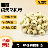沐南堂西藏贝母无硫散装小粒