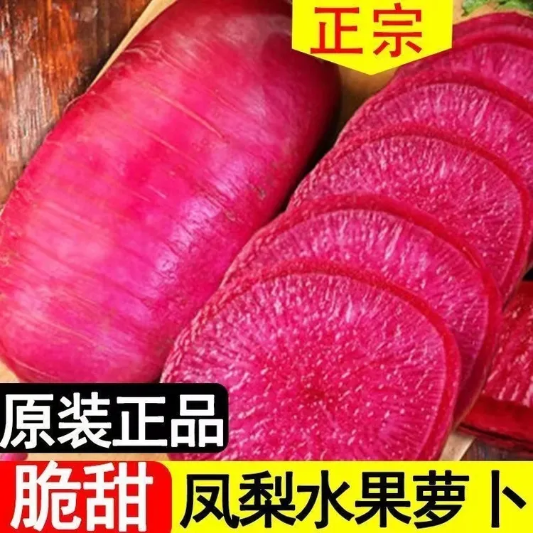 甜脆凤梨水果萝卜心里美萝卜种子凤梨水果萝卜种子春秋夏季四季G