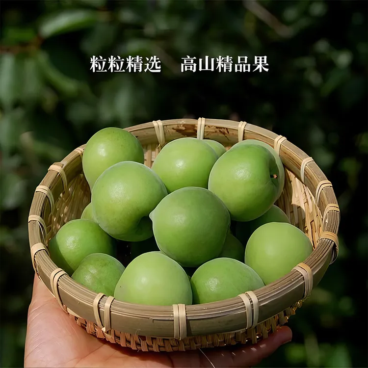 【香】云南大理新鲜青梅 泡酒梅子