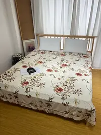 百支彩缎印花床单245*250微瑕～F862