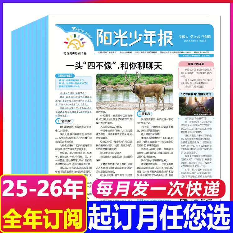 11月新到【25-26年全年订阅月投】阳光少年报小学版杂志小学生