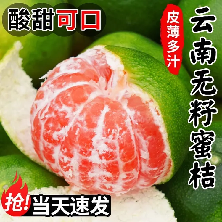 【酸甜爽口】正宗云南青皮蜜桔现摘应季酸甜可口多汁水果适孕妇宝宝