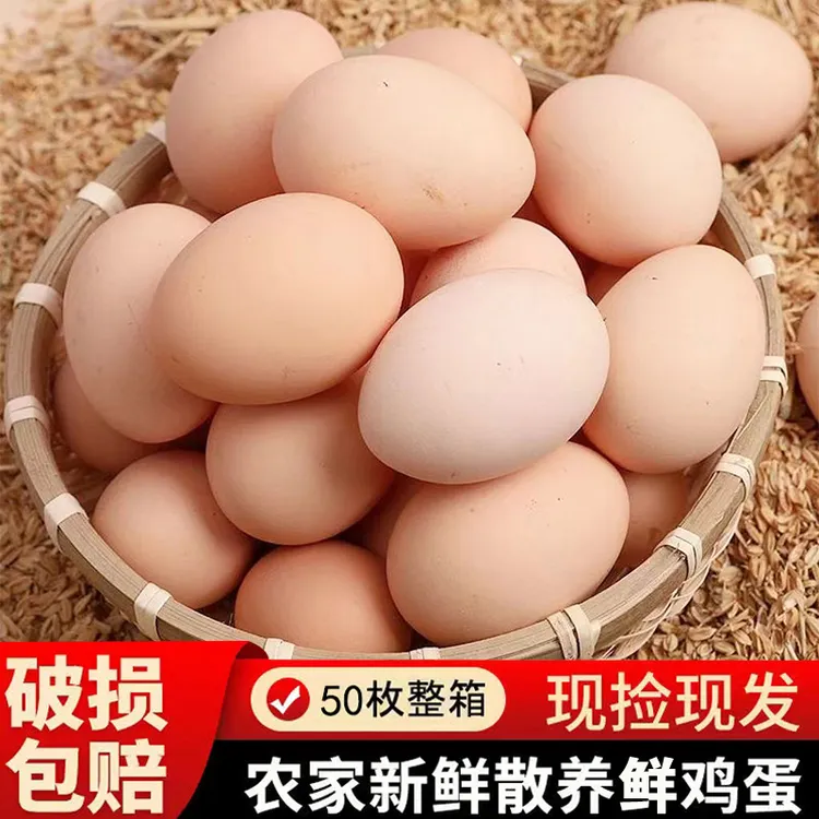 【50枚甄选】林间散养鲜鸡蛋谷物喂养新鲜鸡蛋现发40-50克/枚
