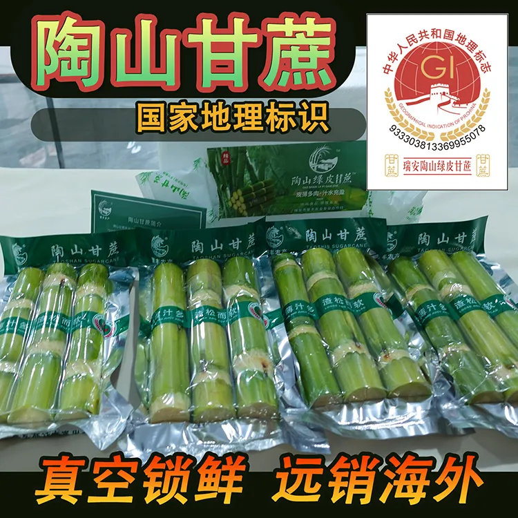 正宗陶山甘蔗新鲜水果出口真空包装当季时令孕妇青皮绿皮手撕果蔗