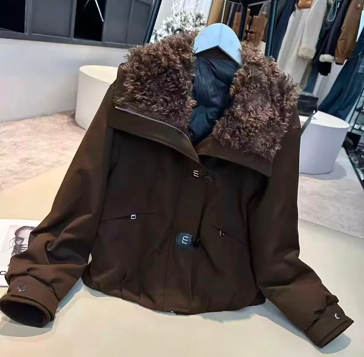 2025冬季新款时尚洋气百搭休闲女款立领羽绒服外套#84417