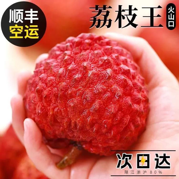 【顺丰空运】海南荔枝王冰鲜当季新鲜水果超大妃子火山口荔枝