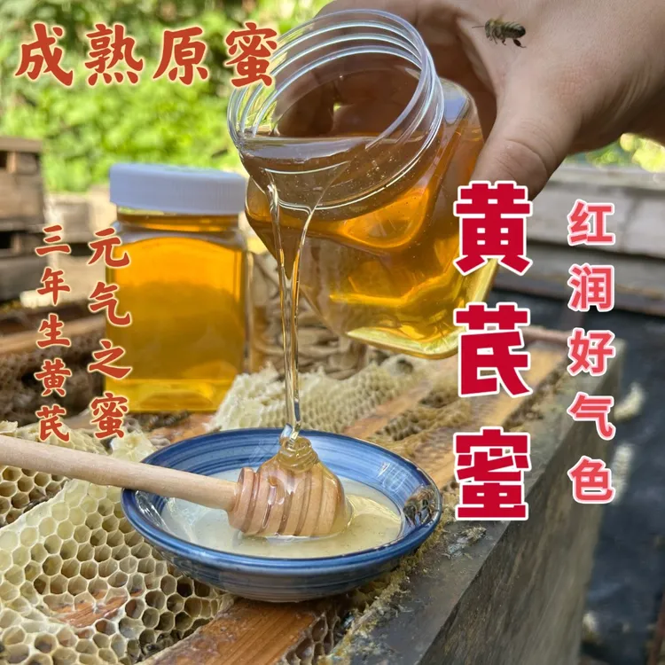 农家正宗黄芪蜂蜜 元气之蜜  农家自产纯正黄芪蜂蜜 自然成熟蜂蜜