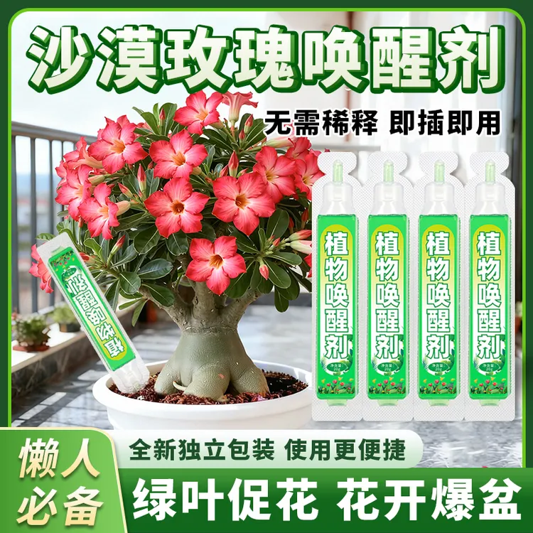 【可以直接用】沙漠玫瑰专用营养液酸性植物花卉猛生速效通用复活液