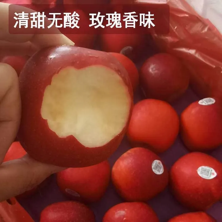 【上海发货】新西兰进口红玫瑰苹果新鲜脆甜水果Queen 皇后苹果
