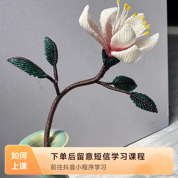 直播作品持续更新课程