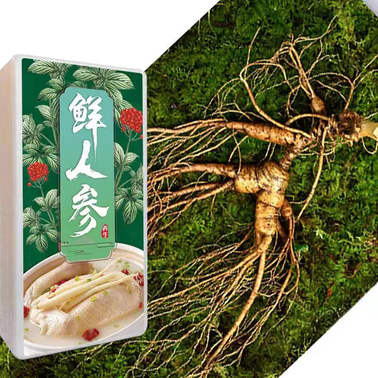 长白山野山参 约35年林下籽 芦碗紧密 纹理清晰 特大单支70克