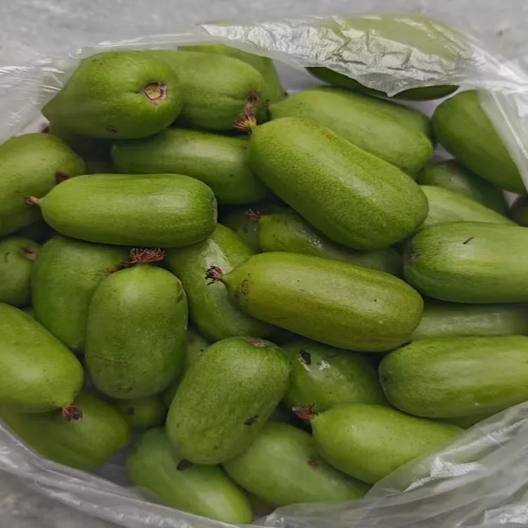 农户自种软枣猕猴桃-树熟香甜多汁（需催熟后吃）