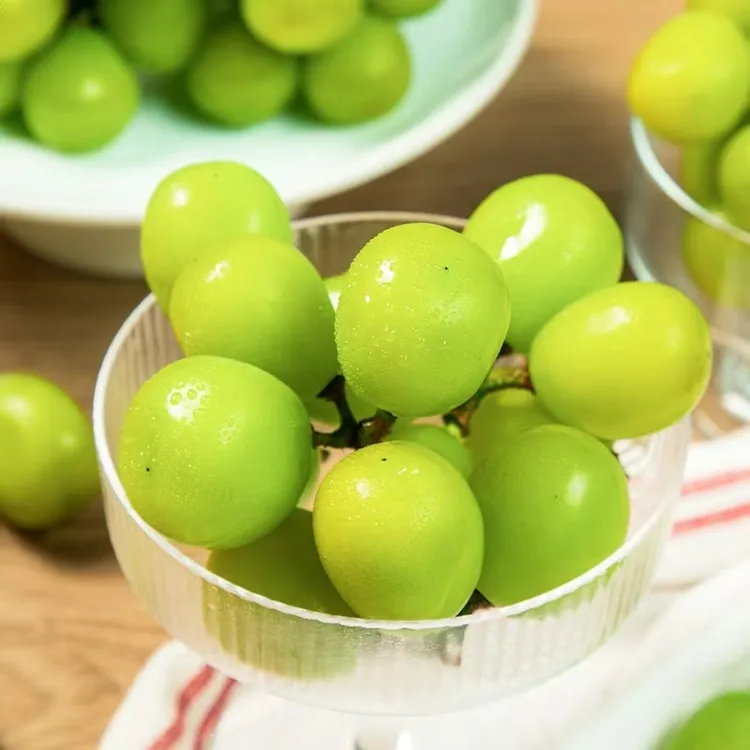 盛家浜 阳光玫瑰新鲜当季葡萄果园发货整串脆甜多汁