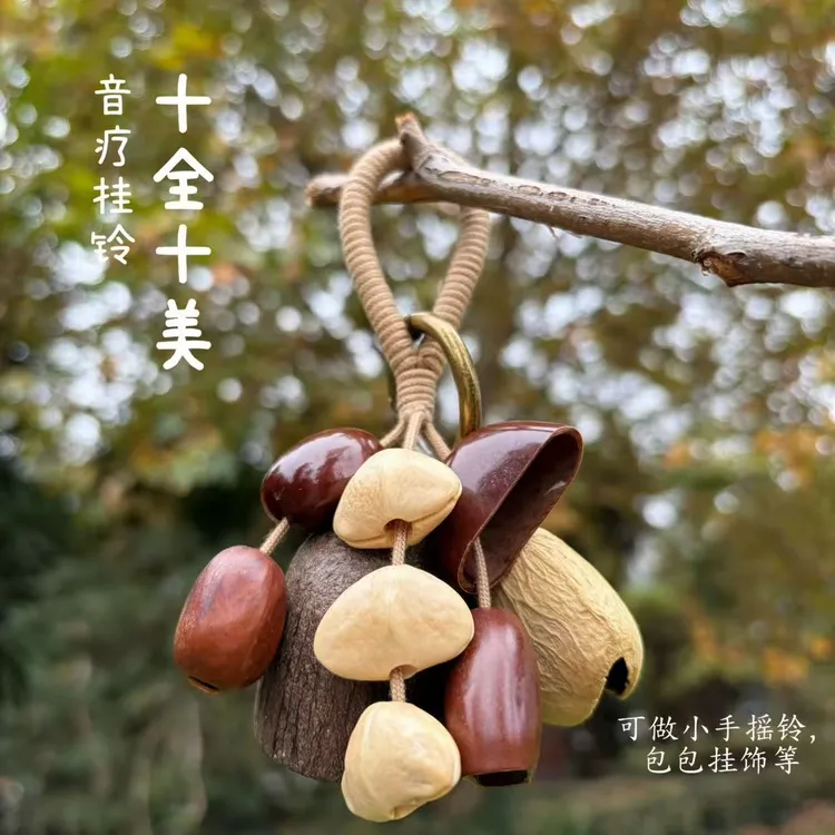 印尼黑果水铃桐挂铃ins露营手摇铃果壳铃果壳风铃果壳摇铃挂件