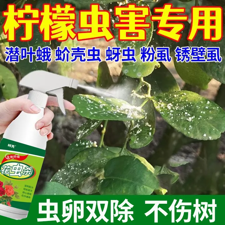 柠檬树除虫喷剂驱虫蚧壳虫白粉虱蚜虫黄叶卷叶柠檬树防虫剂营养液