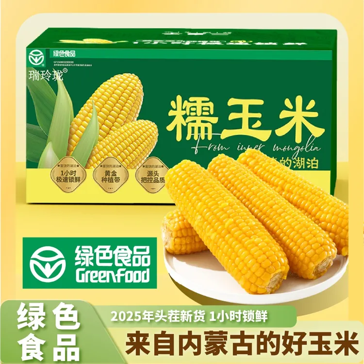 25年新季黄糯玉米8根整箱2.4kg 新品种香甜软糯绿色食品认证T