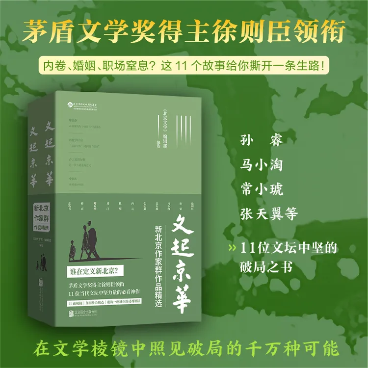文起京华：新北京作家群作品精选