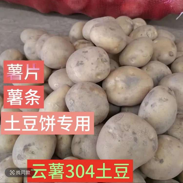 正宗云薯304土豆炸薯片薯条狼牙土豆专用