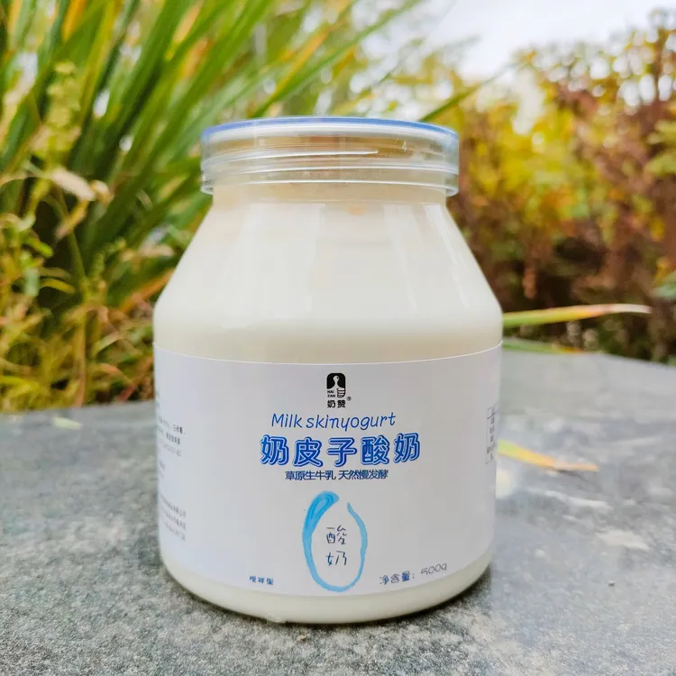 奶赞内蒙古大桶装酸奶500g老酸奶 水果捞网红原味老酸奶