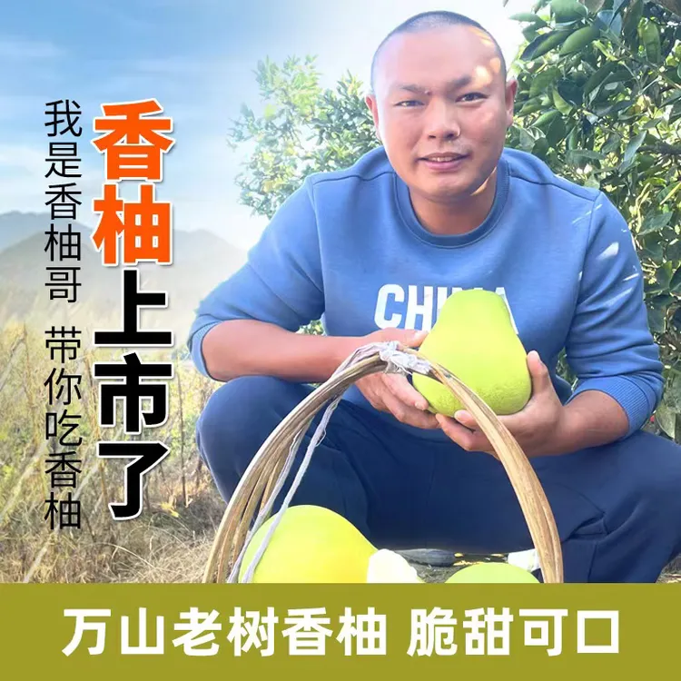 万山香柚高山小苦柚脆甜多汁爽口发净果5斤和9斤