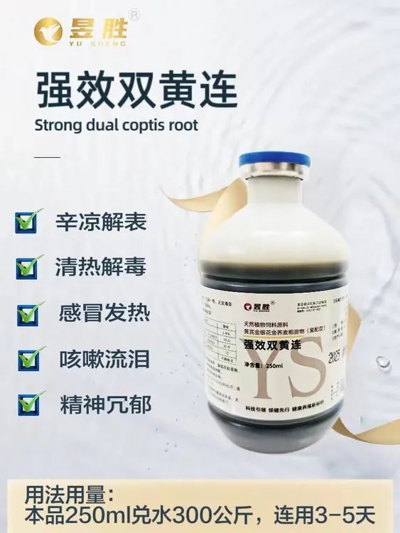 强效双黄连清热解毒辛凉解表鸽舍必备