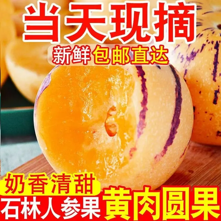 石林高品质树上熟人参果，金黄色的果肉饱满，果香浓郁，汁水充足