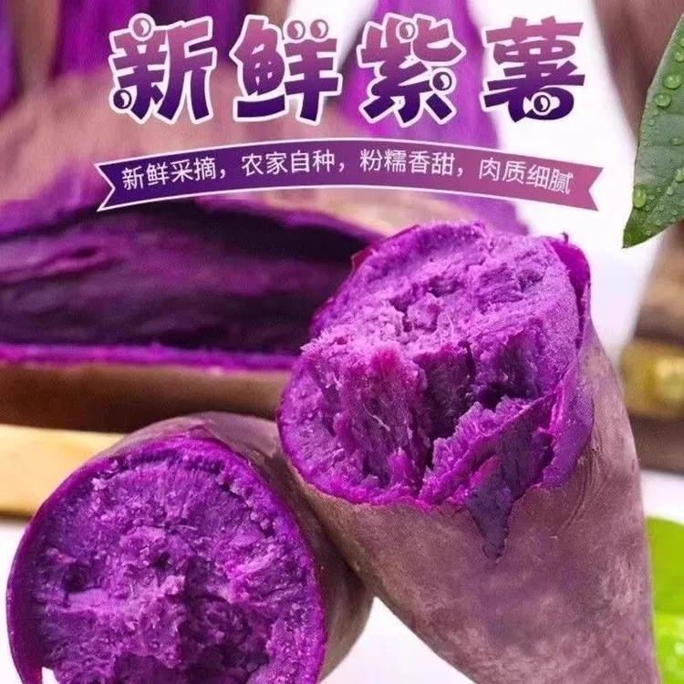 新鲜紫薯沙地现挖香甜粉糯坏果包赔产地直发T