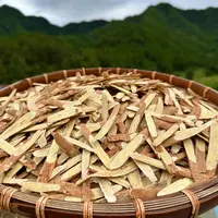 【现收山里黄芪】正品黄芪泡水
