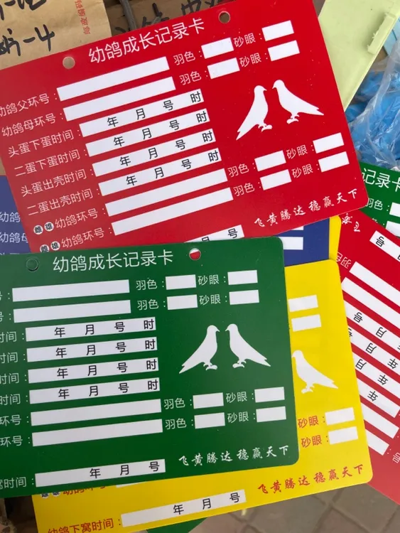 塑料材质幼鸽成长记录卡鸽子识别卡可擦拭重复使用记录卡
