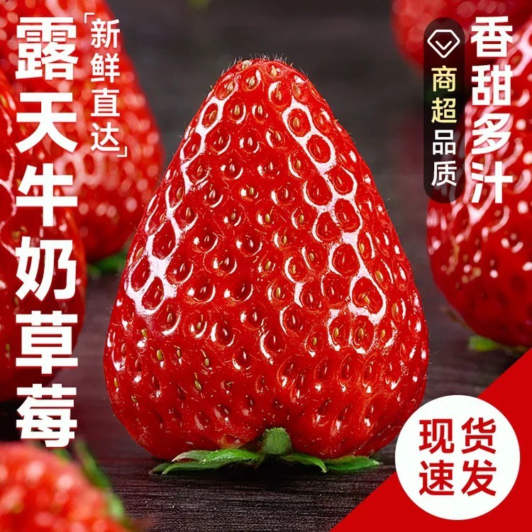 正宗红颜奶油草莓99红颜牛奶大奶油新鲜水果礼盒当季整箱包邮大果