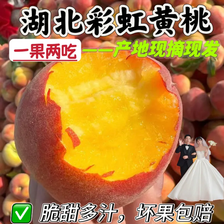 【应季鲜桃专属】枣阳黄金蜜桃彩虹胭脂黄桃头茬原产地直发新鲜采摘
