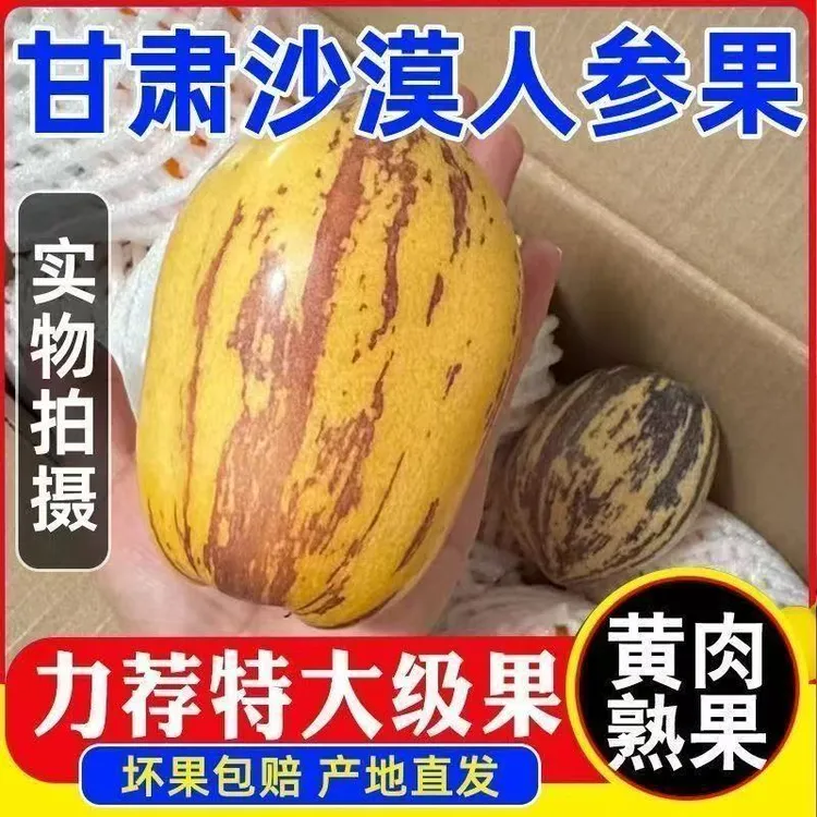 甘肃民勤沙漠清甜黄皮黄肉人参果特大果低糖包邮树熟果净重4.5斤