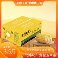 小园玉米 黄糯玉米8棒/箱 每棒220g-260g东北新鲜玉米棒