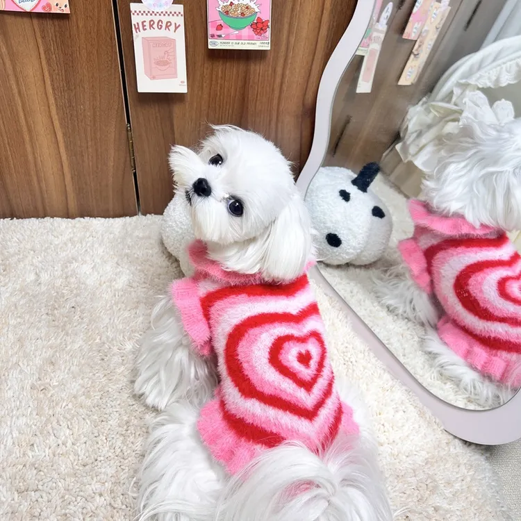 秋冬新款宠物貂绒毛衣背心狗狗猫咪通用防寒保暖衣服马尔济斯博美