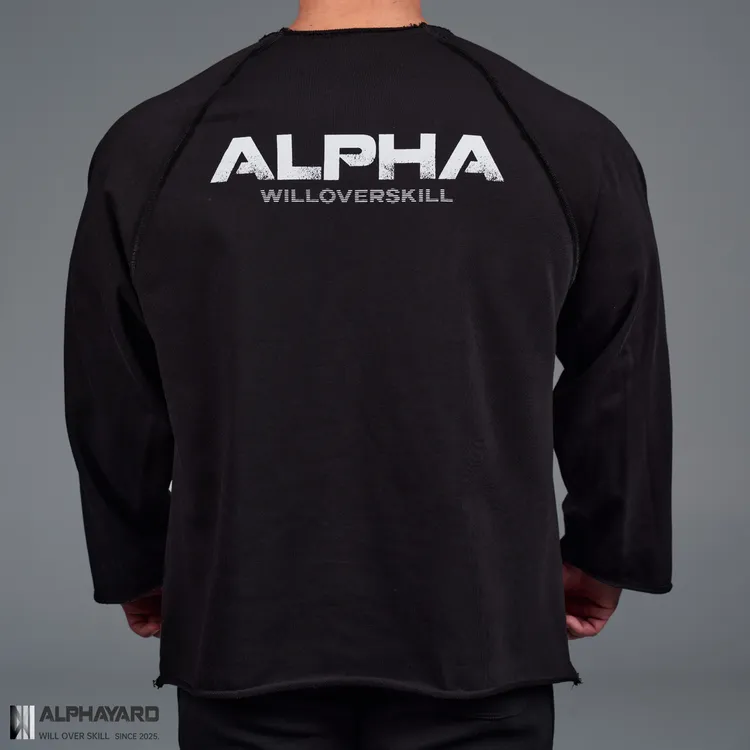 Alphayard重磅棉男长袖宽松训练服透气铁馆健身卫衣秋冬训练019