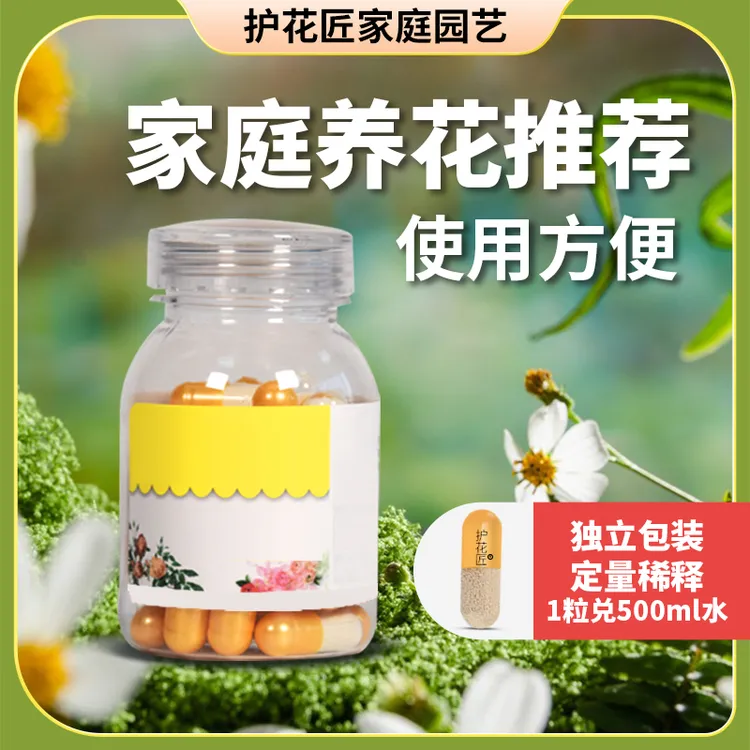 直播）护花匠小胶囊治虫防虫1粒就够使用简单方便花卉家庭室内独立