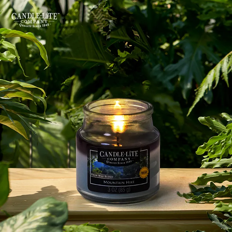 进口CANDLE-LITE香薰蜡烛天然植物香氛精油房间持久留香香氛摆件