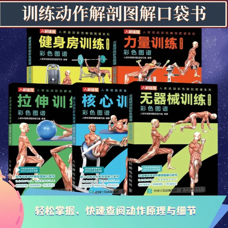 【口袋版】健身房+力量+无器械+拉伸+核心训练彩色图谱口袋版 