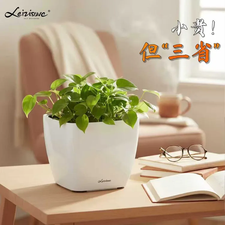 自动吸水懒人方形花盆大口径适合绿萝多肉植物桌面办公用小号塑料
