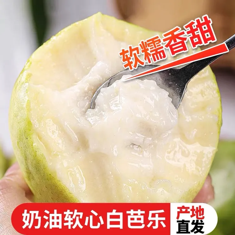【郭妞妞专属】广西白心冰淇淋芭乐5斤装送酸梅粉