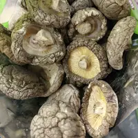 厚肉中朵香菇食用菌250克