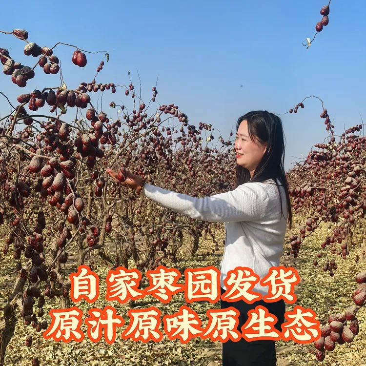 和田红枣精品一特级枣自然吊干枣2025年新货未加工枣园直发包邮